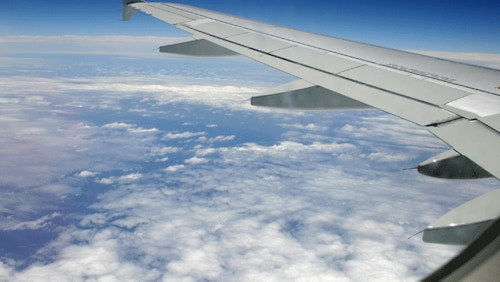 Fly stock 600
